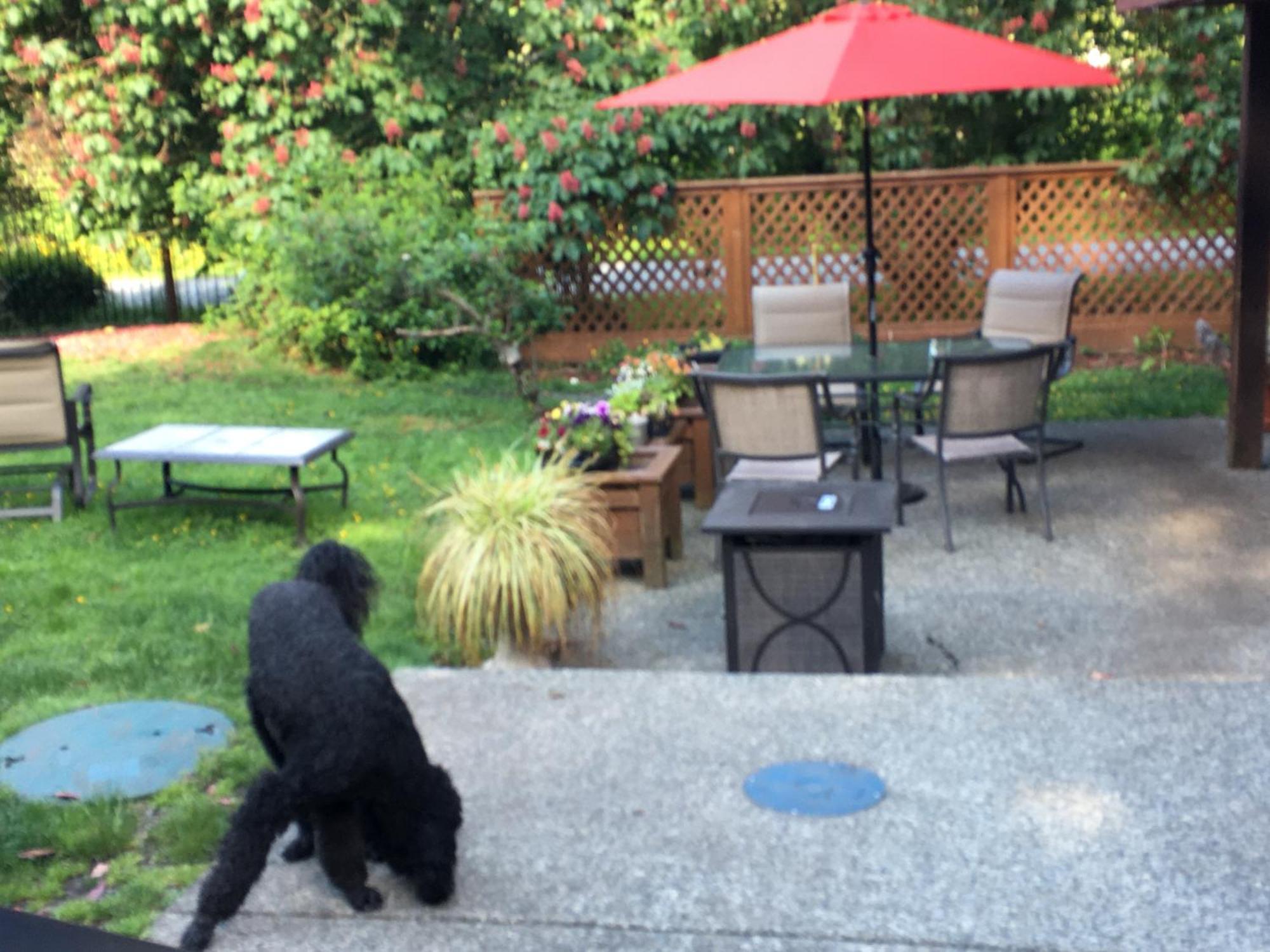 Coles Bay Vacation Retreat Villa North Saanich Eksteriør billede